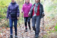 27-B-D-P-downhillcpd