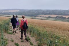 33-Three-view-Amersham