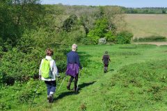 Three-downhill-from-back